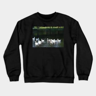 Geese in Trojan pond, near Goble, Oregon Crewneck Sweatshirt